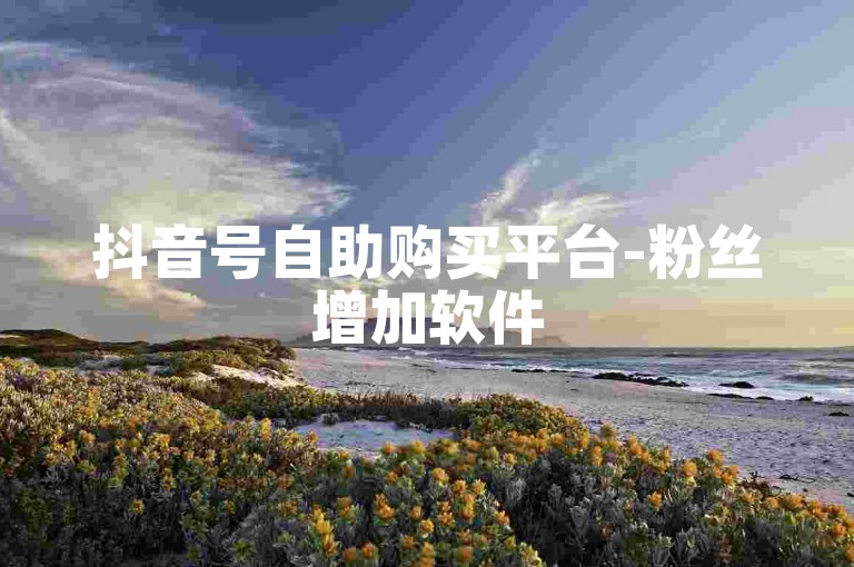 抖音号自助购买平台-粉丝增加软件
