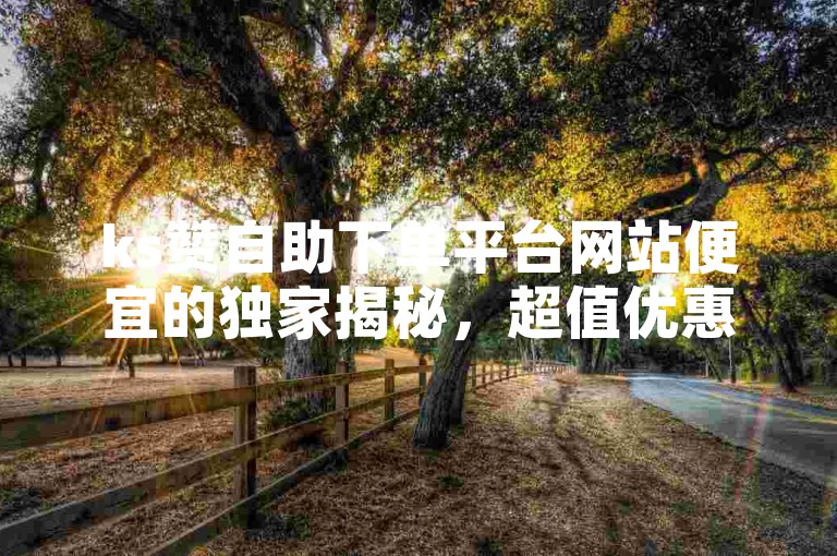 ks赞自助下单平台网站便宜的独家揭秘，超值优惠的KS赞自助下单平台网站！2025必备