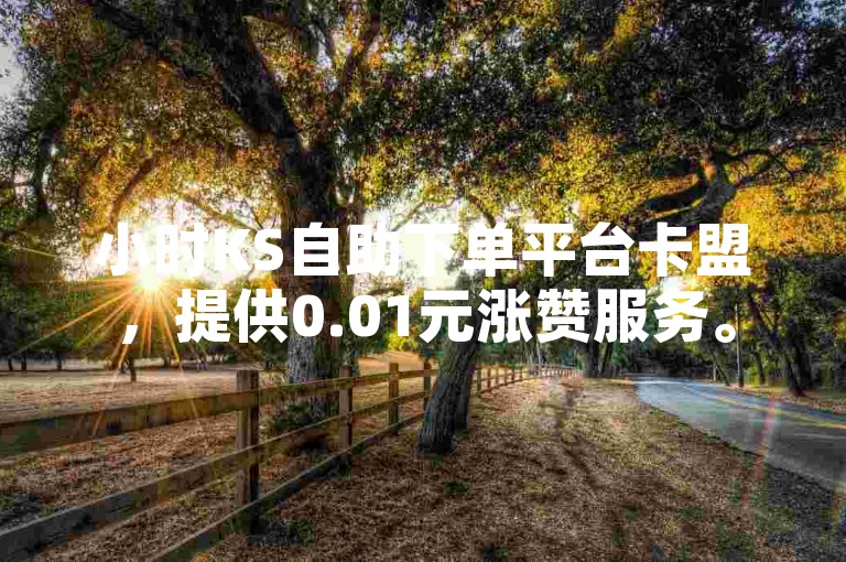 小时KS自助下单平台卡盟，提供0.01元涨赞服务。