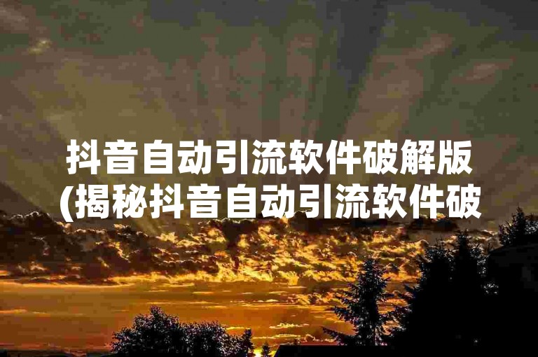 抖音自动引流软件破解版(揭秘抖音自动引流软件破解版的真相)
