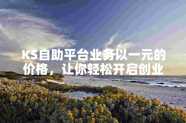 KS自助平台业务以一元的价格，让你轻松开启创业之旅。