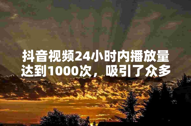 抖音视频24小时内播放量达到1000次，吸引了众多网友的目光。