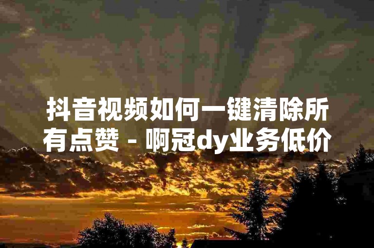 抖音视频如何一键清除所有点赞 - 啊冠dy业务低价自助下单平台。