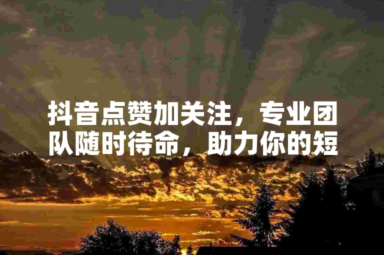 抖音点赞加关注，专业团队随时待命，助力你的短视频火爆全网。