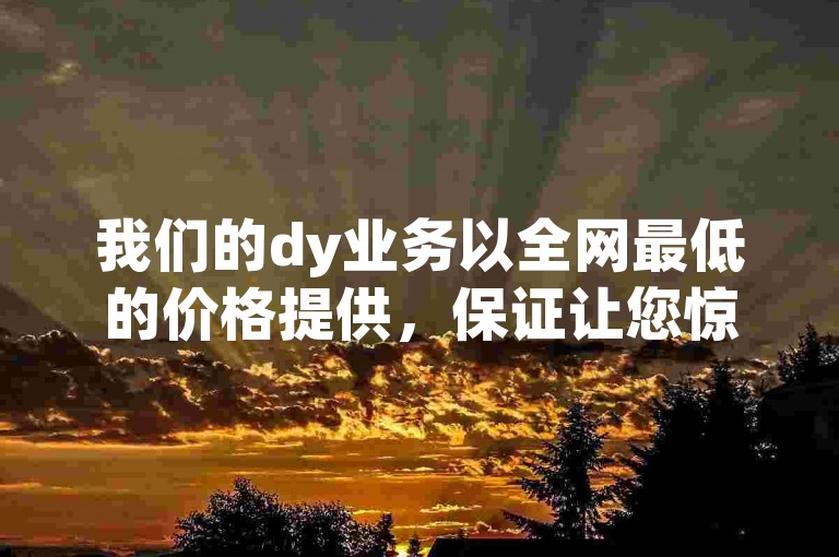 我们的dy业务以全网最低的价格提供，保证让您惊喜连连！