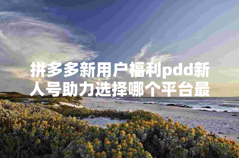 拼多多新用户福利pdd新人号助力选择哪个平台最快捷？