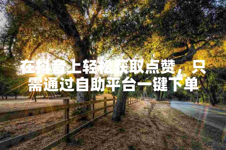 在抖音上轻松获取点赞，只需通过自助平台一键下单。