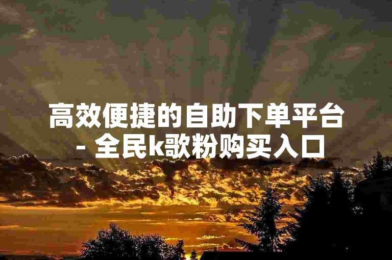 高效便捷的自助下单平台 - 全民k歌粉购买入口
