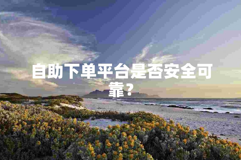 自助下单平台是否安全可靠？