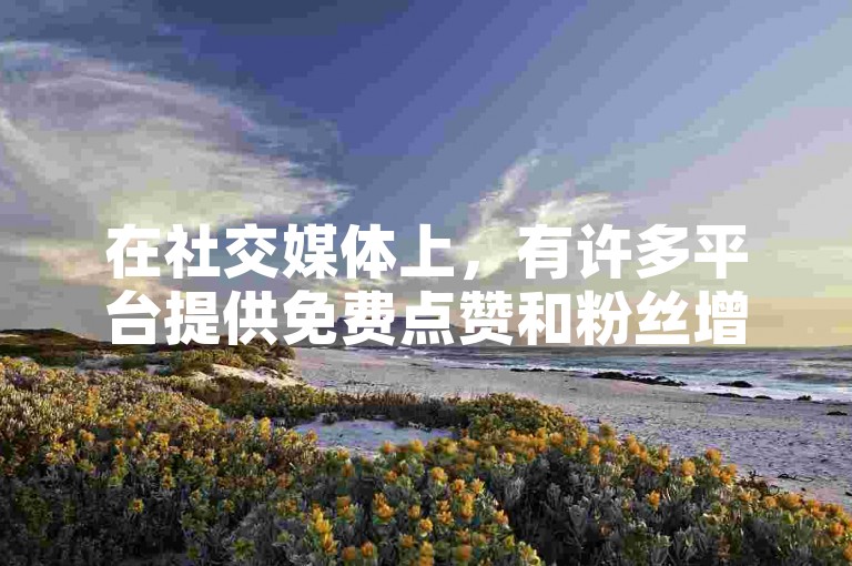 在社交媒体上，有许多平台提供免费点赞和粉丝增长服务。