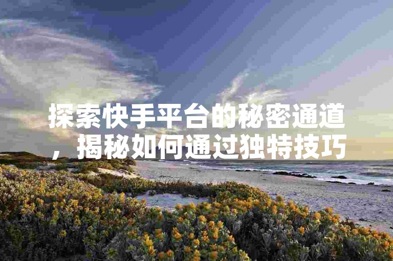 探索快手平台的秘密通道，揭秘如何通过独特技巧迅速提升视频关注度。