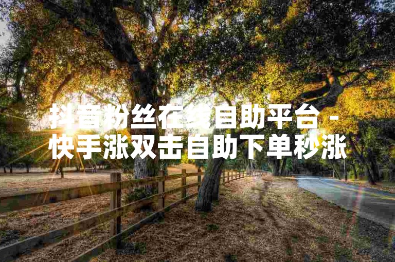 抖音粉丝在线自助平台 - 快手涨双击自助下单秒涨便宜