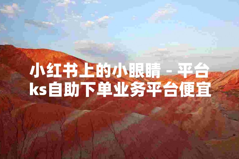 小红书上的小眼睛 - 平台ks自助下单业务平台便宜，是众多用户寻找实惠服务的首选。