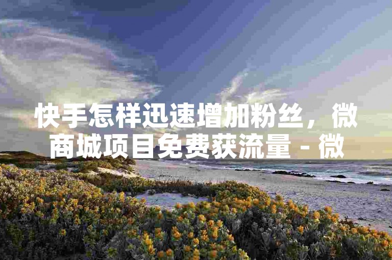 快手怎样迅速增加粉丝，微商城项目免费获流量 - 微信朋友圈匿名查看应用2024 - ks自助业务下单平台