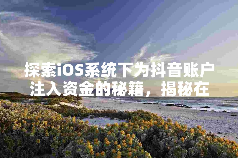 探索iOS系统下为抖音账户注入资金的秘籍，揭秘在苹果设备上顺利充值抖音的步骤，2025年必备技能！