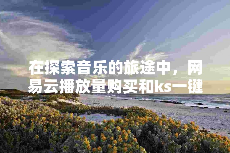 在探索音乐的旅途中，网易云播放量购买和ks一键取赞神器app成为了许多人提升作品热度的秘密武器。