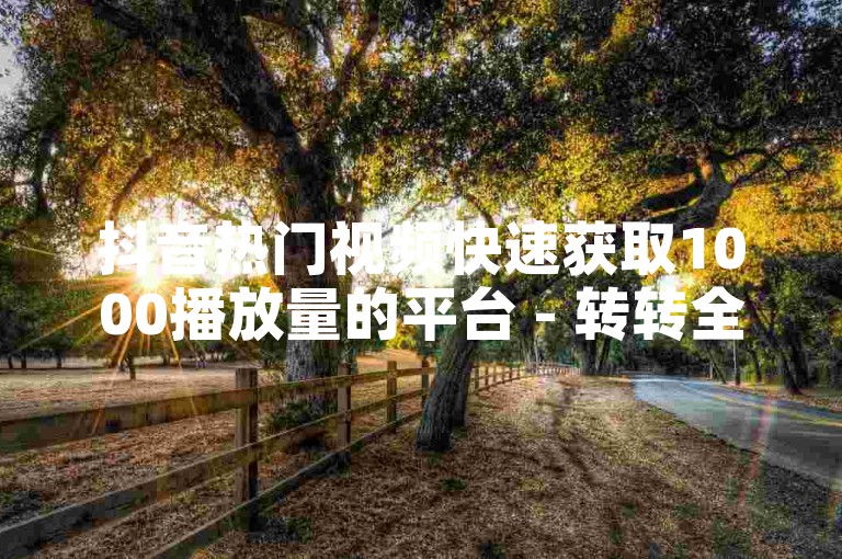 抖音热门视频快速获取1000播放量的平台 - 转转全天候服务自助系统。