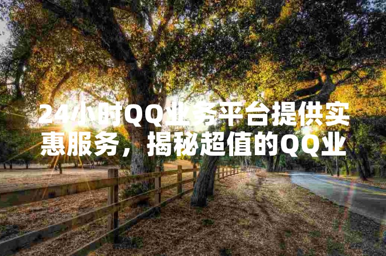 24小时QQ业务平台提供实惠服务，揭秘超值的QQ业务选择，2025年必备攻略！