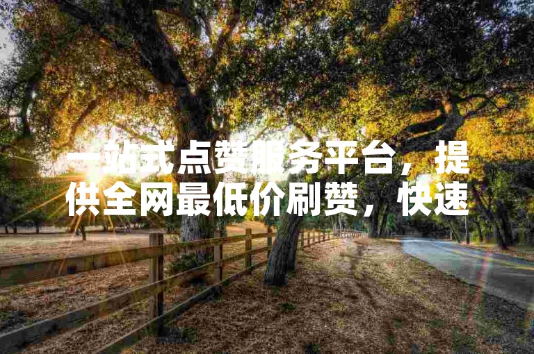 一站式点赞服务平台，提供全网最低价刷赞，快速提升人气。