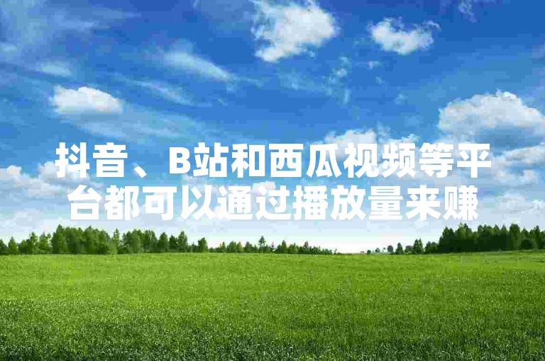 抖音、B站和西瓜视频等平台都可以通过播放量来赚钱，而快手的点赞收费是0.3元10000赞。