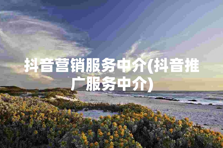 抖音营销服务中介(抖音推广服务中介)