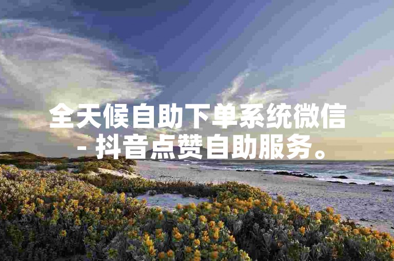 全天候自助下单系统微信 - 抖音点赞自助服务。