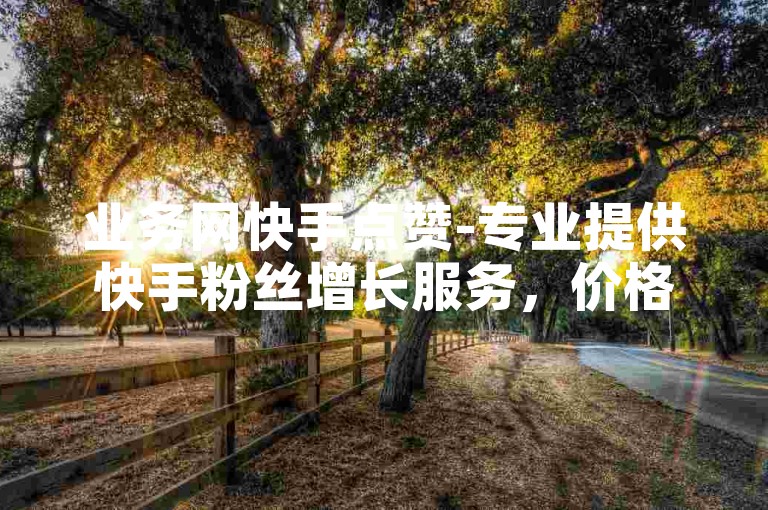 业务网快手点赞-专业提供快手粉丝增长服务，价格实惠。