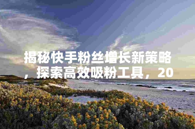 揭秘快手粉丝增长新策略，探索高效吸粉工具，2025年必备技巧！