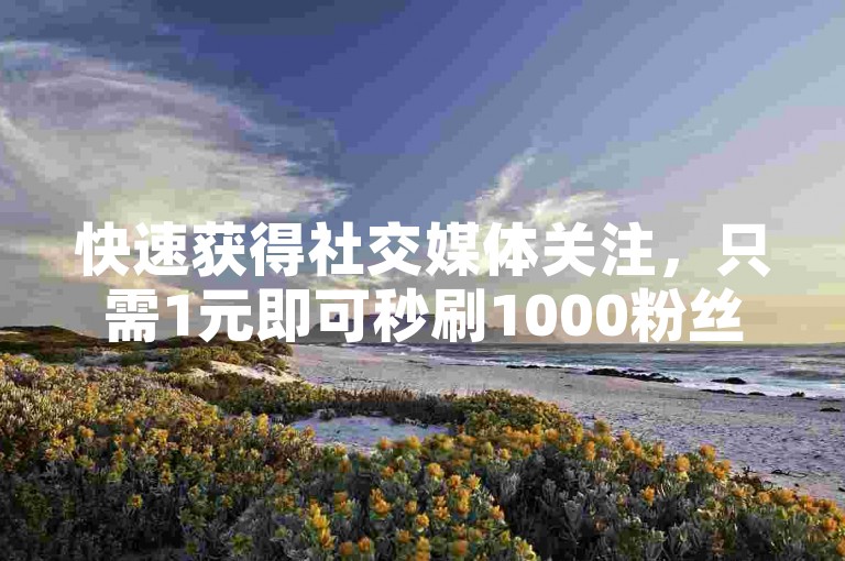 快速获得社交媒体关注，只需1元即可秒刷1000粉丝，还有1元100赞的自助服务，全天候抖音业务在线下单平台等你来体验。