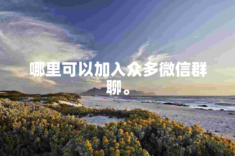 哪里可以加入众多微信群聊。