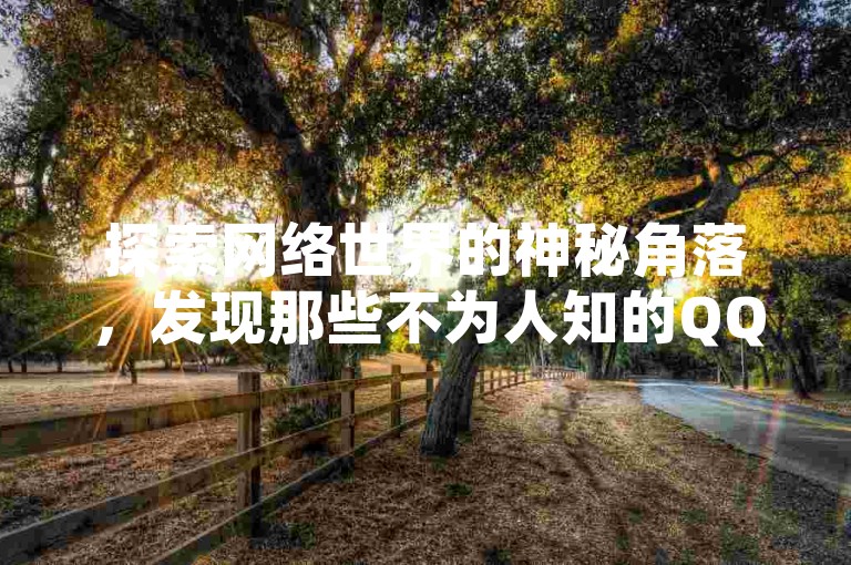 探索网络世界的神秘角落，发现那些不为人知的QQ空间访问量提升秘籍，让你的社交影响力倍增。