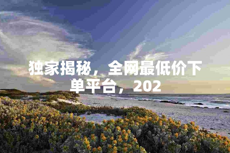 独家揭秘，全网最低价下单平台，2025年必备的购物攻略！