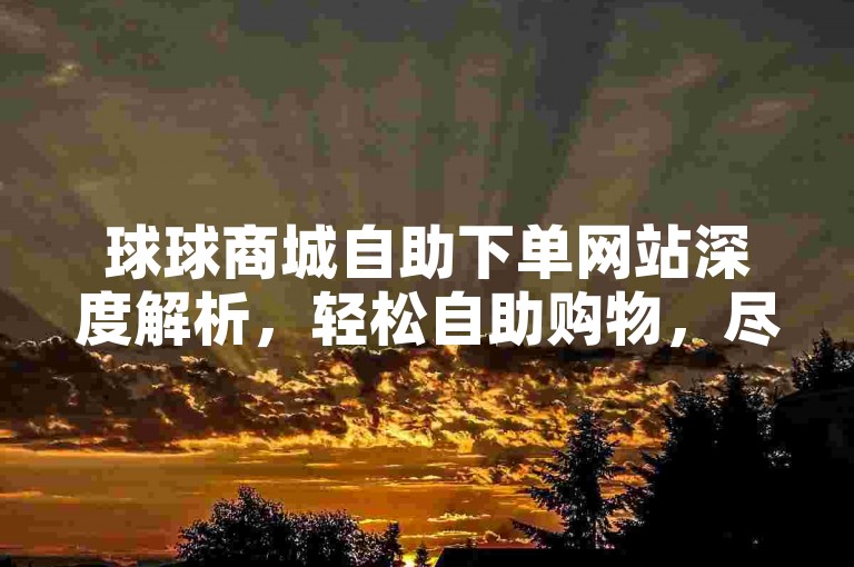 球球商城自助下单网站深度解析，轻松自助购物，尽享便捷服务！2024年必备技巧。