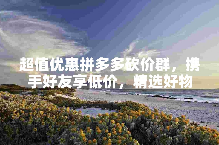 超值优惠拼多多砍价群，携手好友享低价，精选好物等你来拿！加入我们，开启省钱之旅！