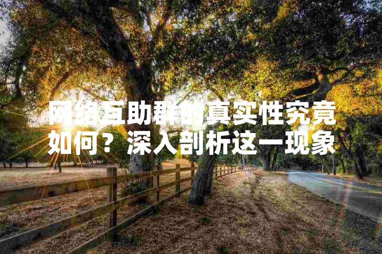 网络互助群的真实性究竟如何？深入剖析这一现象背后的本质。