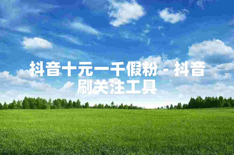 抖音十元一千假粉 - 抖音刷关注工具