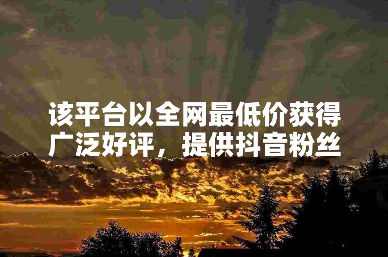 该平台以全网最低价获得广泛好评，提供抖音粉丝增长的自助下单服务。