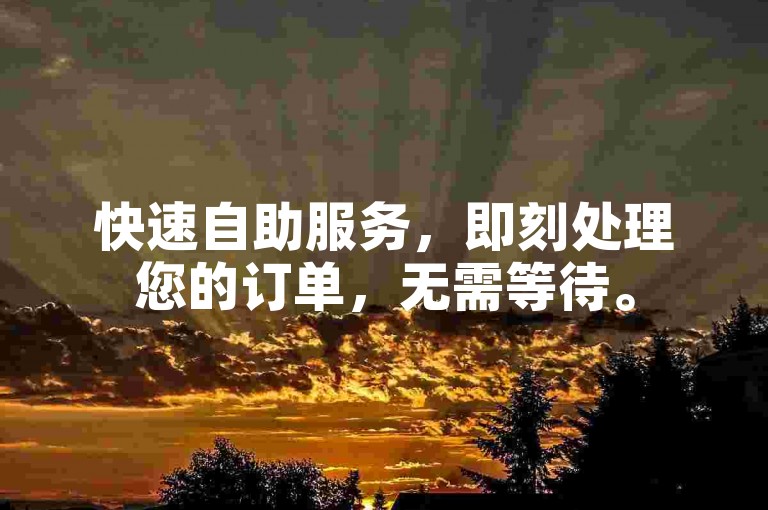 快速自助服务，即刻处理您的订单，无需等待。