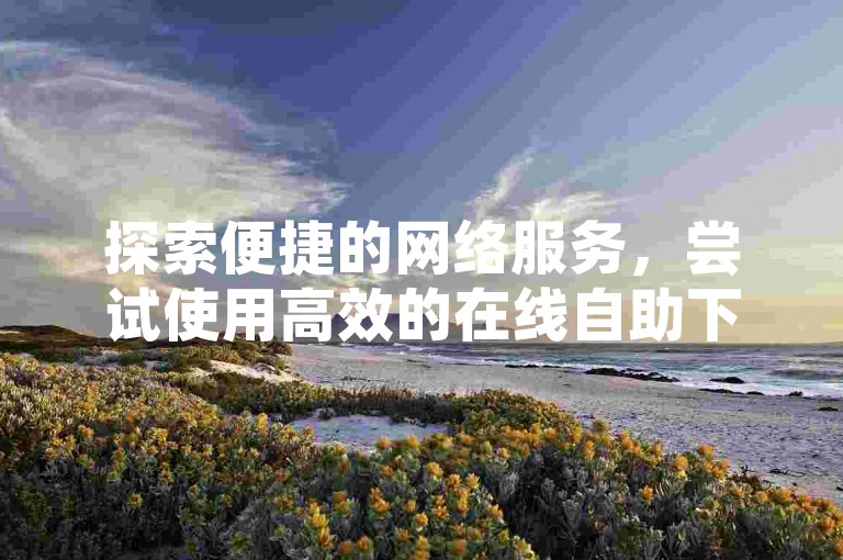探索便捷的网络服务，尝试使用高效的在线自助下单系统。