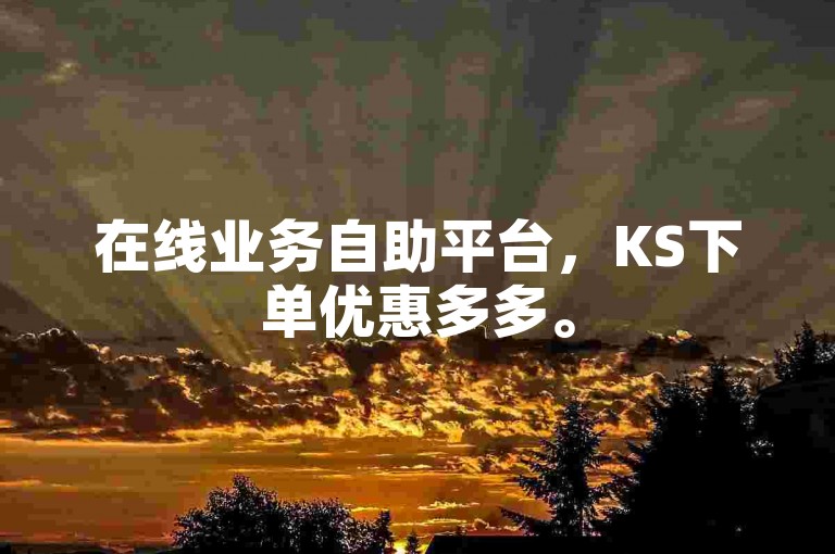 在线业务自助平台，KS下单优惠多多。