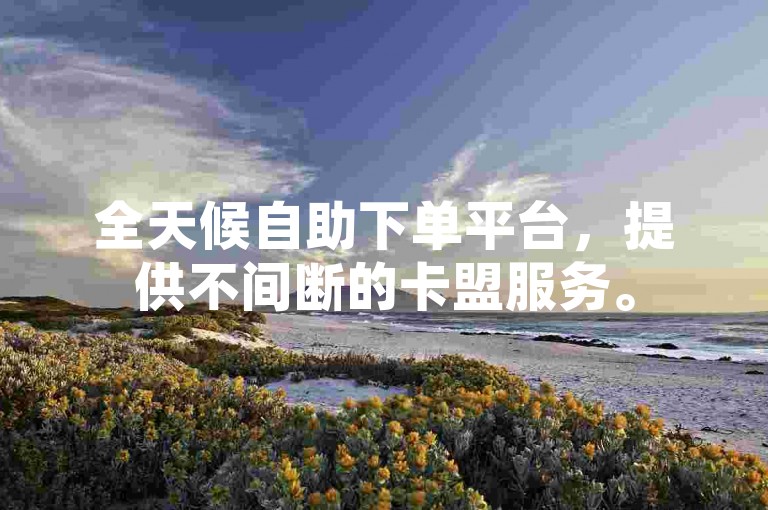 全天候自助下单平台，提供不间断的卡盟服务。