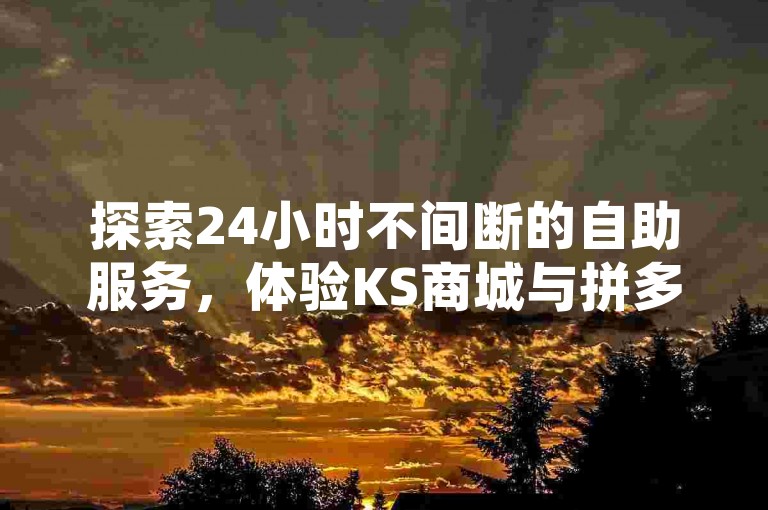 探索24小时不间断的自助服务，体验KS商城与拼多多助力购买的便捷，尽在小老弟业务下单平台。