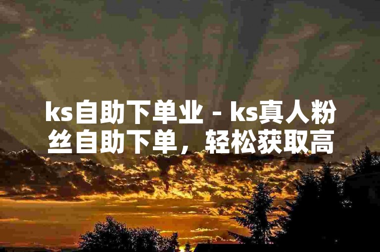 ks自助下单业 - ks真人粉丝自助下单，轻松获取高质量的粉丝支持。