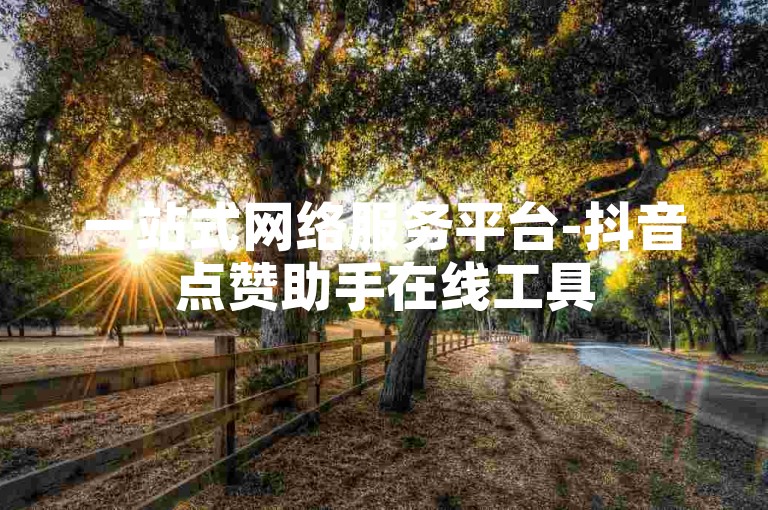 一站式网络服务平台-抖音点赞助手在线工具