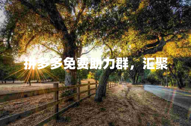 拼多多免费助力群，汇聚500人的力量，共筑共赢的桥梁。