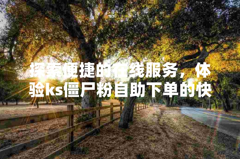 探索便捷的在线服务，体验ks僵尸粉自助下单的快速与高效 - Dy自助平台为您的业务加速。