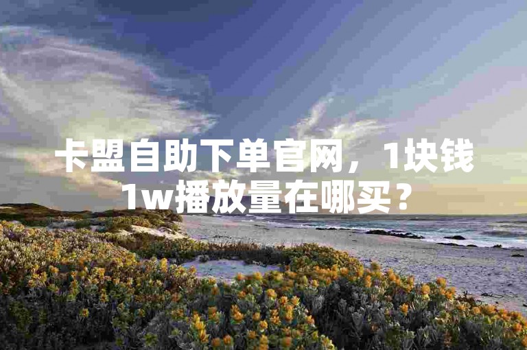 卡盟自助下单官网，1块钱1w播放量在哪买？