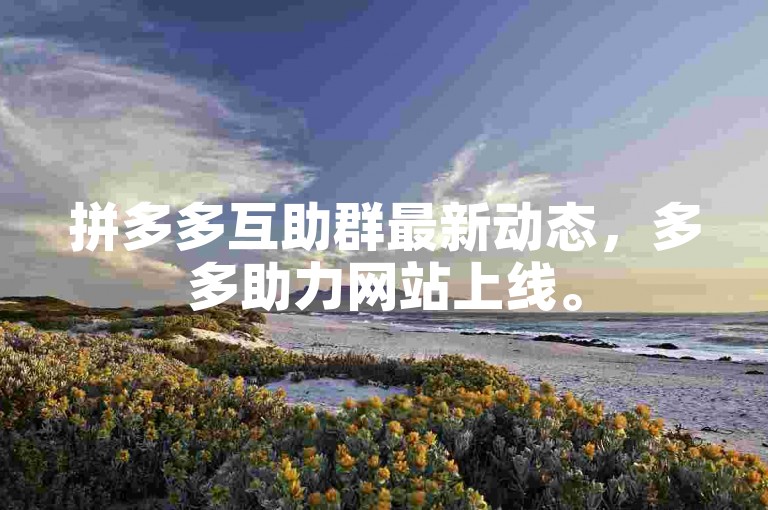 拼多多互助群最新动态，多多助力网站上线。
