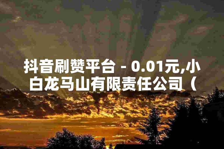抖音刷赞平台 - 0.01元,小白龙马山有限责任公司（抖音点赞购买网站，低价高效提升点赞的优选）