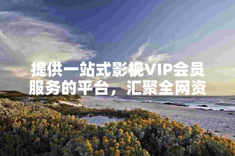 提供一站式影视VIP会员服务的平台，汇聚全网资源。